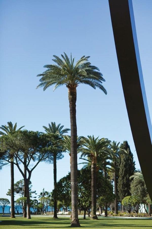 Le Chateau - The Most Beautiful Sight In Old Town, Private Terrace Niza Exterior foto